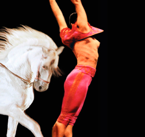 Memorias de un caballo andaluz, de Salvador Távora, en los Teatros del Canal.